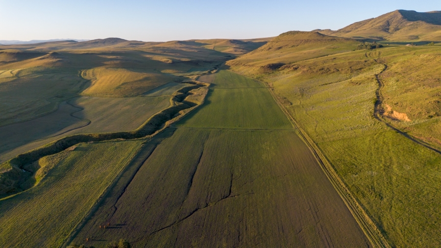 0 Bedroom Property for Sale in Barkly East Rural Eastern Cape